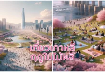 ไปเกาหลี ฤดูใบไม้ผลิที่กรุงโซล เที่ยวที่ไหนดี?